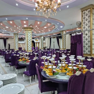 تالار قصر آرین