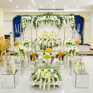 سالن عقد فیلیا