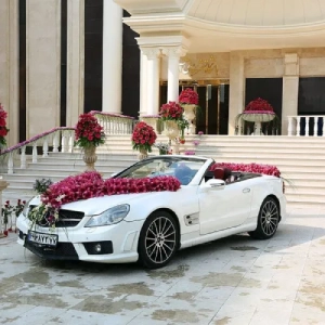 تشریفات آریا