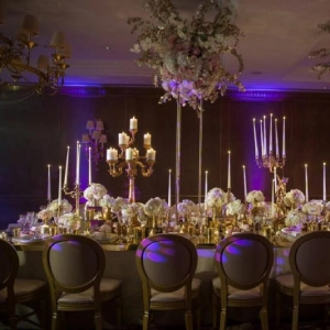 تشریفات دیپلمات