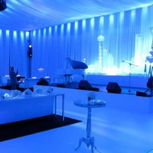 تشریفات دیپلمات