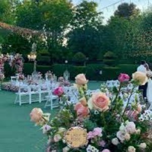 تشریفات لیدی رز