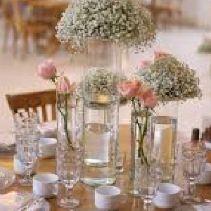 تشریفات لاوینا