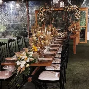 سالن عقد رضا فیلی