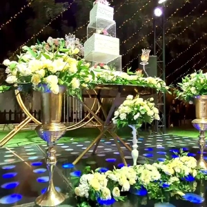 تشریفات سامان بهارلو (گندم)