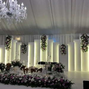 تشریفات ویو