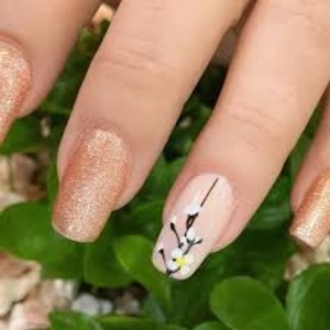 آکادمی اسعدی در کرج