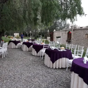 باغ تالار آمیتیس