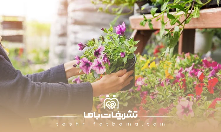 دارا بودن خلاقیت تزئین در بهترین گل فروشی ها