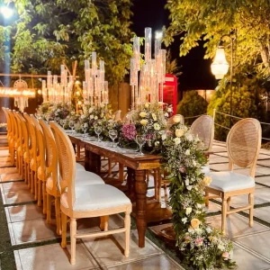 باغ تالار الیزه