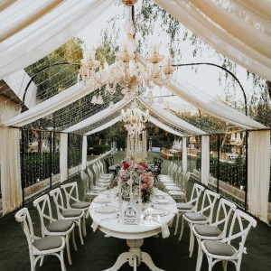 تشریفات رضا اصلانی