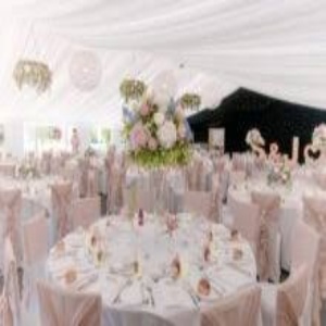 تشریفات احتساب در ونک