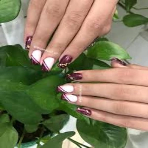 سالن بانو هنگامه