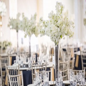 تالار آبشار