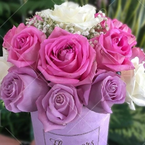 گل فروشی ملورین