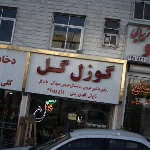 گلفروشی گوزل گل