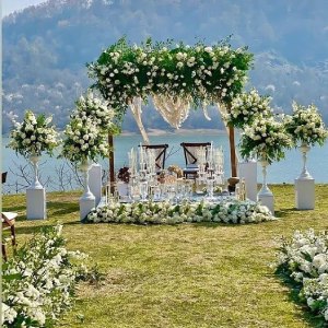 تالار پیوند