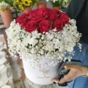 گل فروشی الف در کرمانشاه