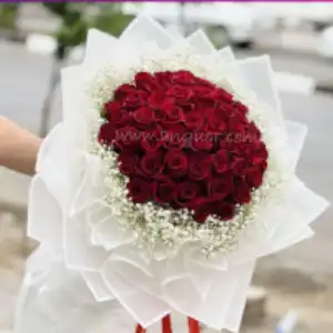 گل فروشی گل سنگ در قم