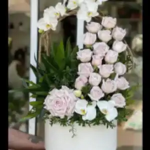 گل فروشی کارن در کرمانشاه