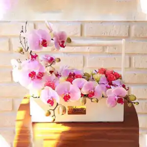 گل فروشی نایس در کرمانشاه