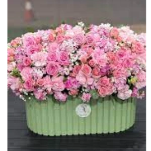 گل فروشی پارمیس در اردبیل