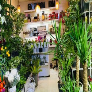 گلفروشی خاطره