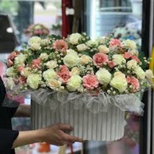 گلکده الینا