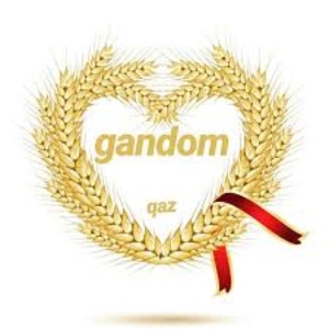 تشریفات مجالس گندم