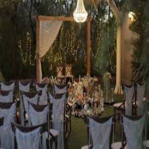 تشریفات مجالس تخت جمشید