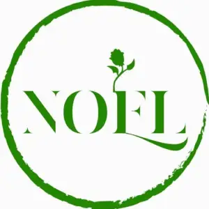 گلفروشی نوئل